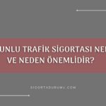 Zorunlu Trafik Sigortası Nedir?